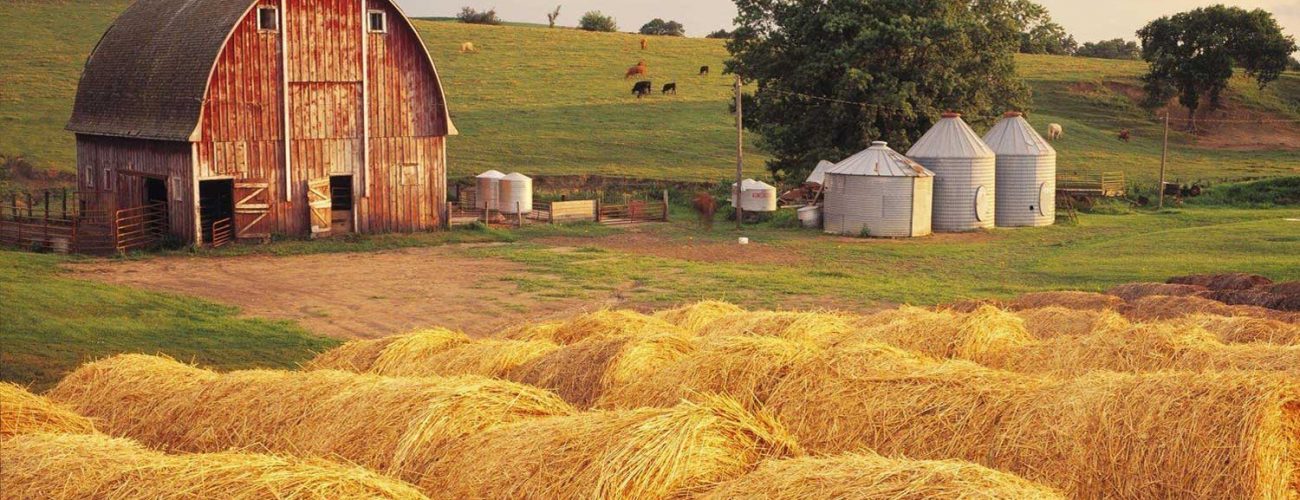 Why Local Matters: The Ponkay Farms and Agribusiness Services Advantage